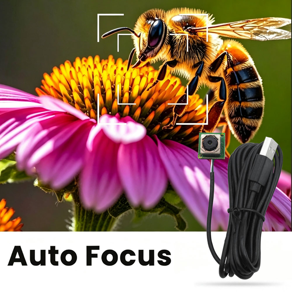 5MP UVC Camera Autofocus Mini USB Camera Module hcu 125af (修改后的)
