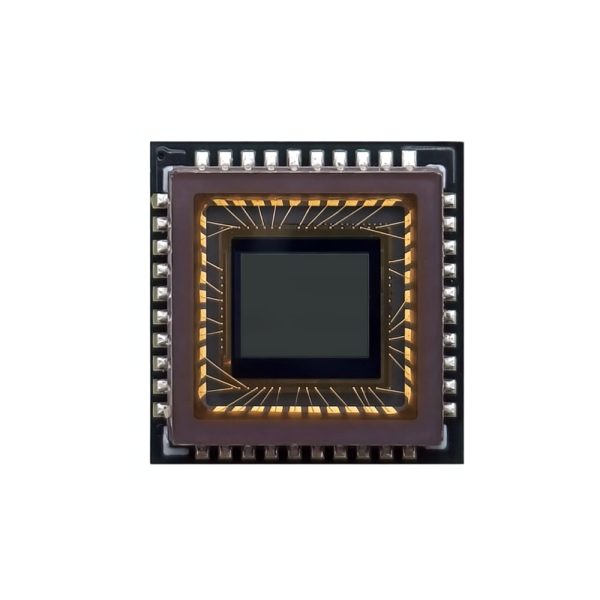 hcc p1203 (2)